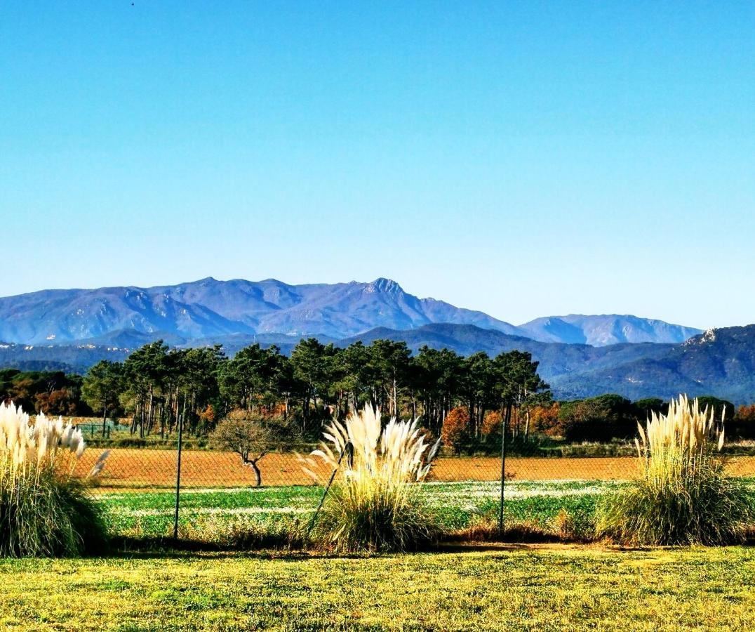 Can Micos - Casa Rural & Events Riudarenes Luaran gambar